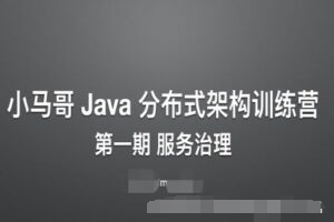 [小马哥]Java 分布式架构训练营第一期 – 服务治理|完结无密